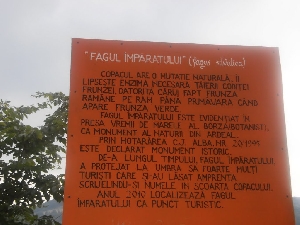 Fagul Imparatului