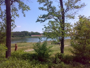 Lacul Amara