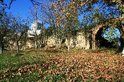 Manastirea Vizantea