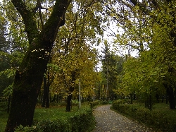 Parcul Cancicov