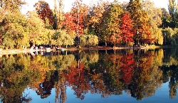 Parcul Carol I