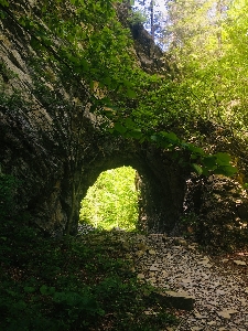 Parcul Natural Putna - Vrancea