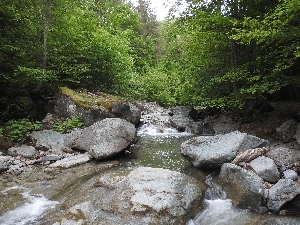 Parcul Natural Putna - Vrancea
