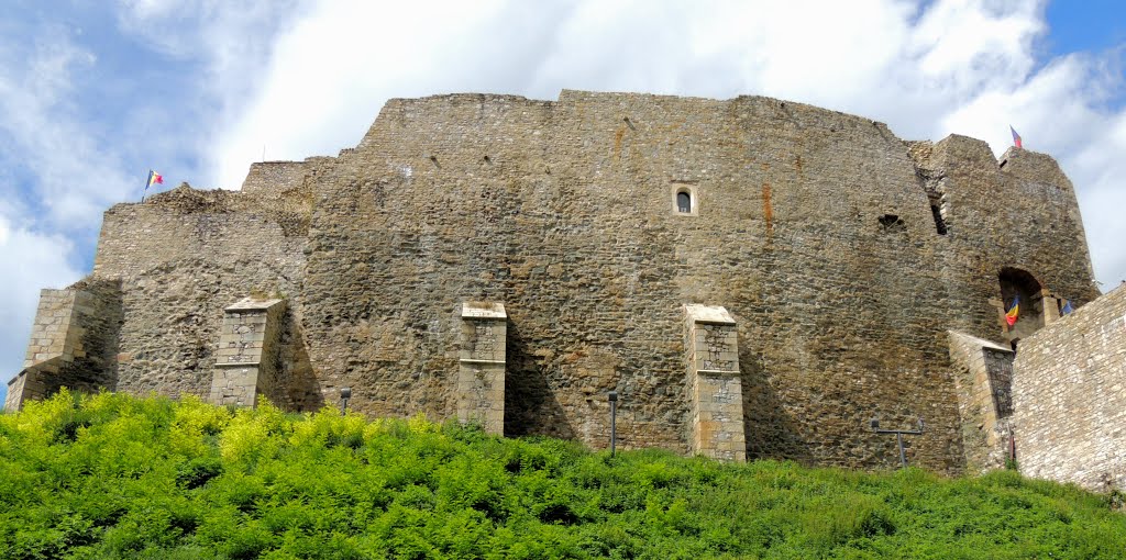 Cetatea Neamt (Cetatea Neamtului)