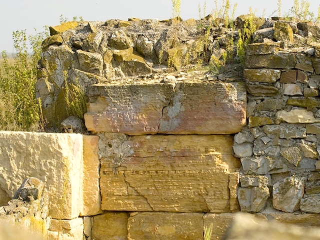 Cetatea Salsovia