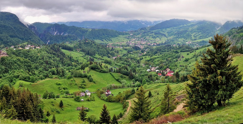 Traseu montan: Podu Dambovitei - Dambovicioara - Brusturet