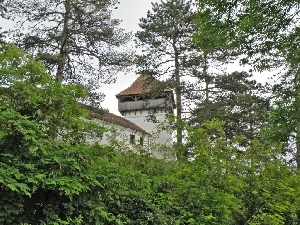 Biserica evanghelica fortificata din Ungra