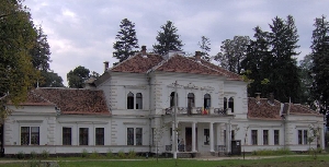 Castelul Beldi Laszlo (Budila)