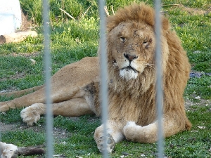 Gradina Zoologica din Ramnicu Valcea