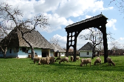 Muzeul Etnografic "Haszmann Pal" - CERNATUL DE JOS
