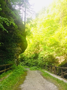 Parcul Natural Putna - Vrancea