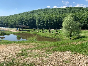 Zona de picnic din Budeasa