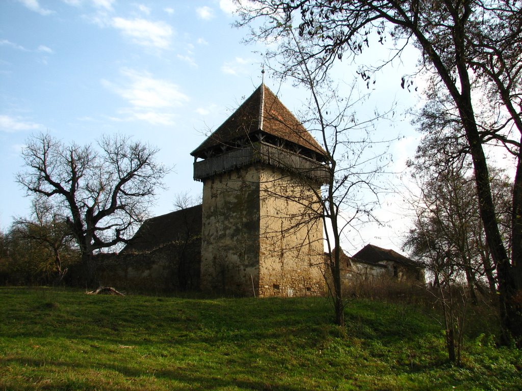 Biserica reformata fortificata din Cobor