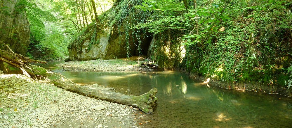 Cheile Videi
