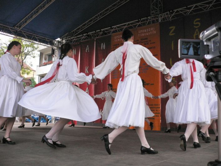 Festivalul Zilele salcamilor in floare