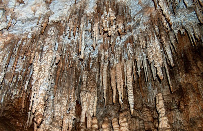 Pestera Izvorul Tausoarelor