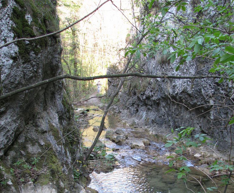 Rezervatia Cheile Susarei