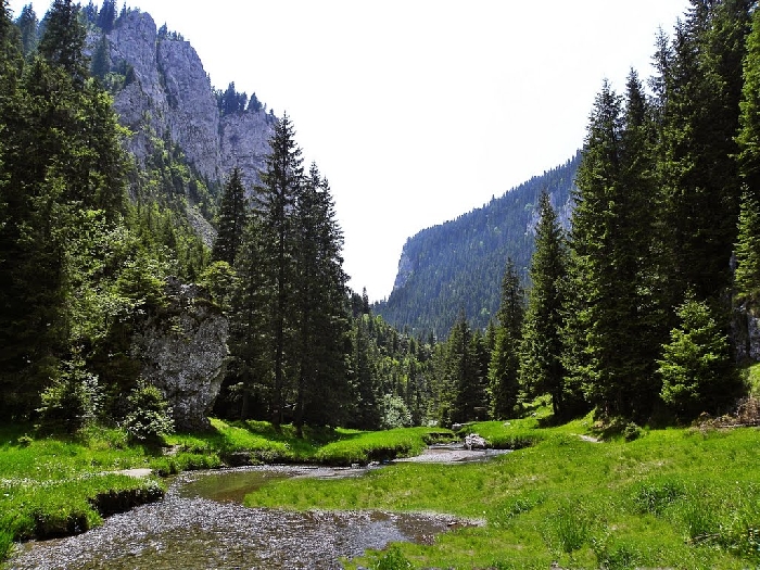Rezervatia naturala Cheile Zanoagei Mari