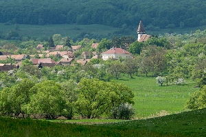 Biserica evanghelica fortificata din Mesendorf