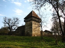 Biserica reformata fortificata din Cobor