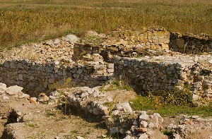 Cetatea Halmyris