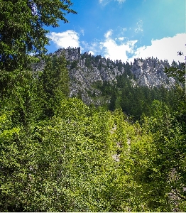 Cheile Zanoagei