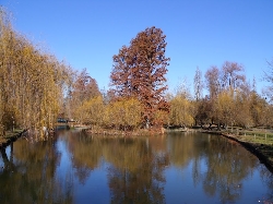 Parcul Strand