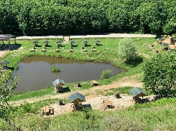 Zona de picnic din Budeasa