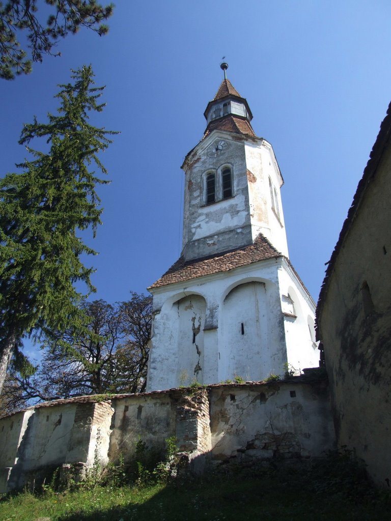 Biserica evanghelica fortificata Bunesti