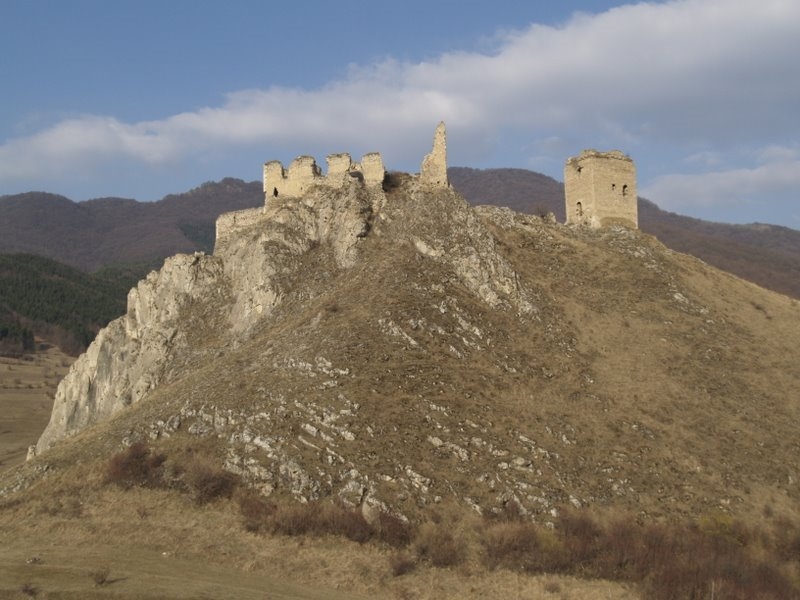 Cetatea Trascaului