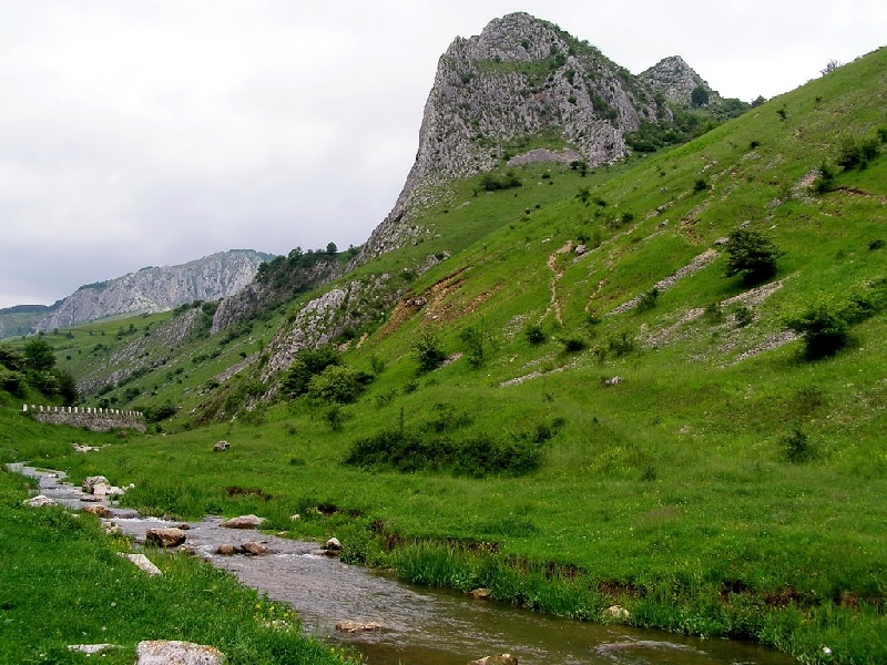 Cheile Valisoarei (Cheile Aiudului)