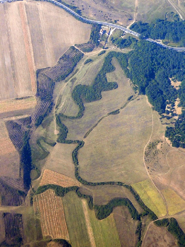 Padurea Sarului