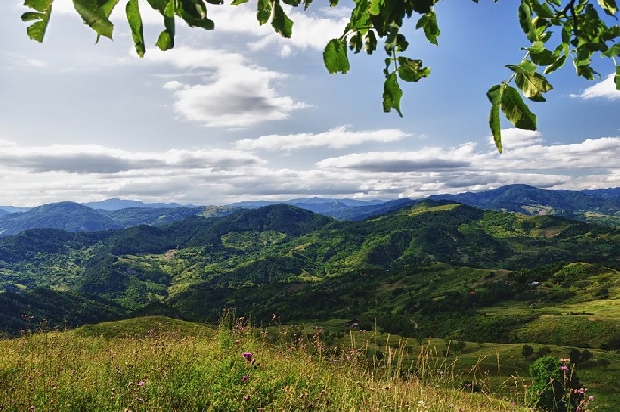 Trasee montane in Masivul Penteleu