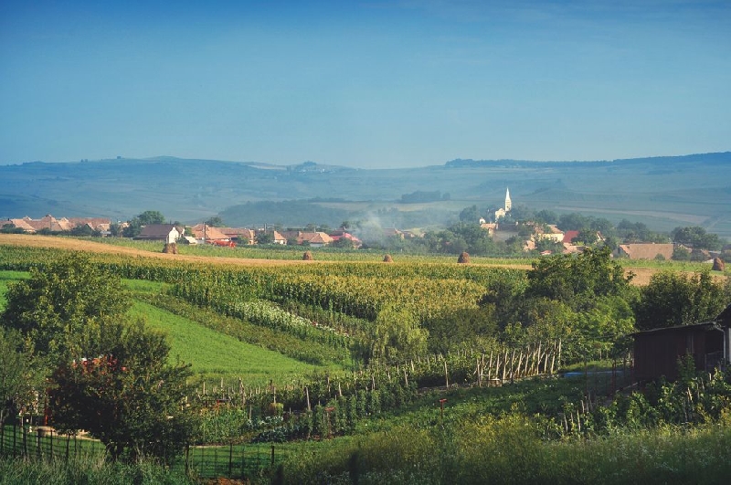 Valea Tarnavelor (Tara Vinului)