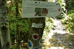 Cascada Valul Miresei - Rachitele