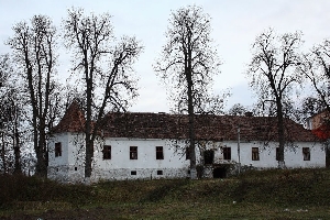 Castelul Guthman-Valenta din Hoghiz