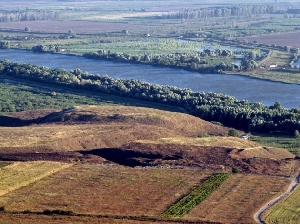 Cetatea Salsovia