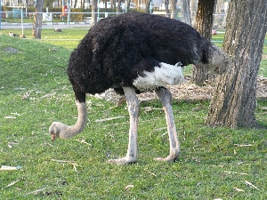 Gradina Zoologica din Ramnicu Valcea