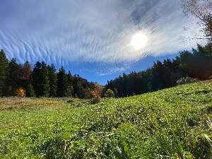 Parcul Natural Putna - Vrancea