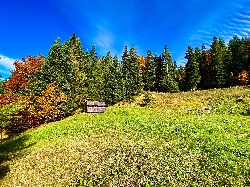 Parcul Natural Putna - Vrancea