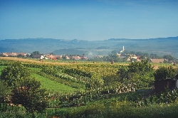 Valea Tarnavelor (Tara Vinului)