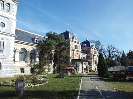 Castelul Csernovics