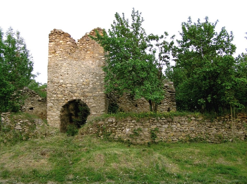Cetatea de la Salas (Cetatea de la Salasu de Sus)