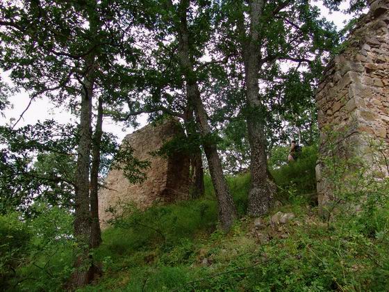 Cetatea Finisului