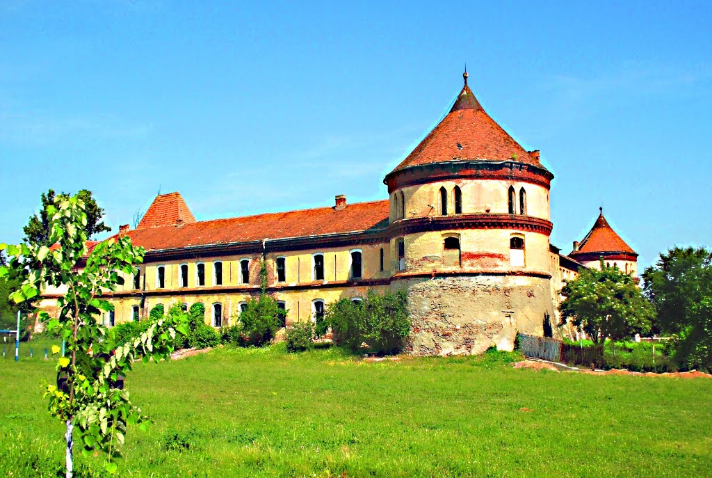 Cetatea Ineului