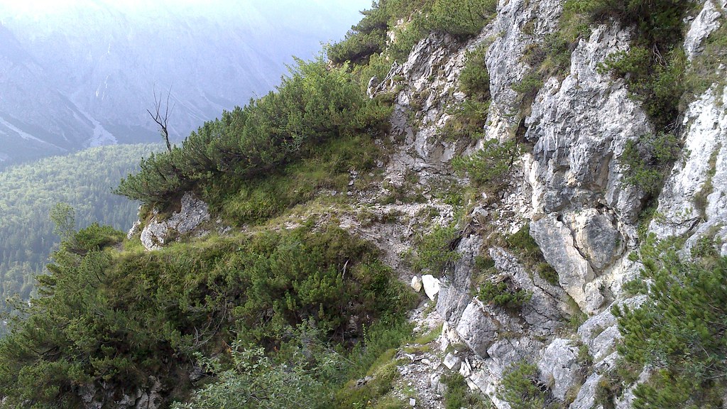 Traseu montan: Dambovicioara - Ciocanu - Piatra Galbena - Valea Seaca a Pietrelor - Vladusca