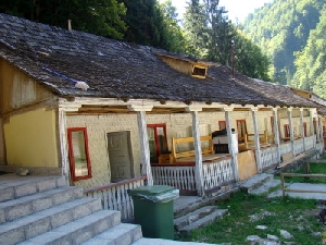 Cabana Brusturet