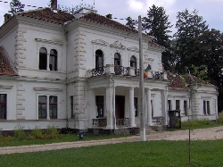 Castelul Beldi Laszlo (Budila)