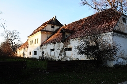 Castelul Nemes (Budila)