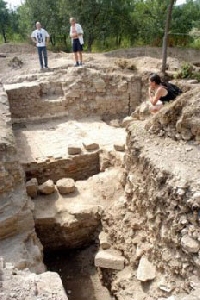Cetatea Taut